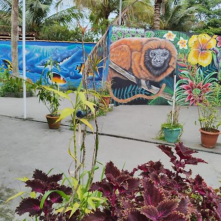 Renoah Pousada Ubatuba Exterior photo